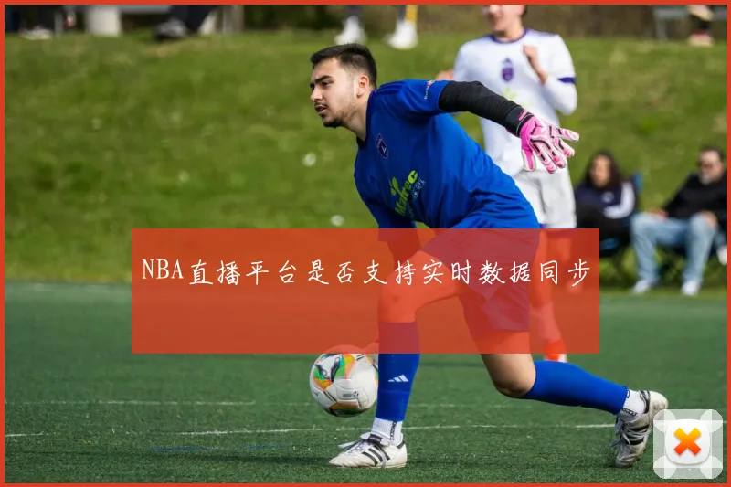 NBA直播平台是否支持实时数据同步