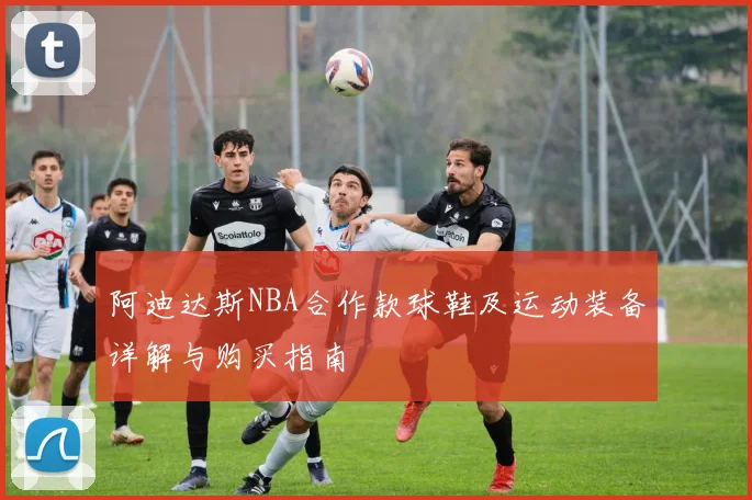 阿迪达斯NBA合作款球鞋及运动装备详解与购买指南