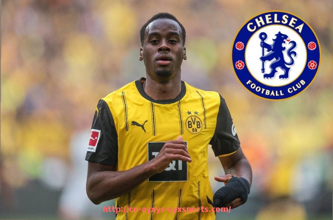 爱游戏体育-火箭队2013年球员名单及新老阵容变化分析