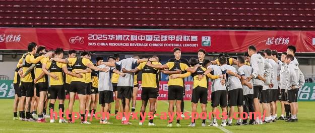 爱游戏体育-英超客场球衣设计风格与配色趋势解析